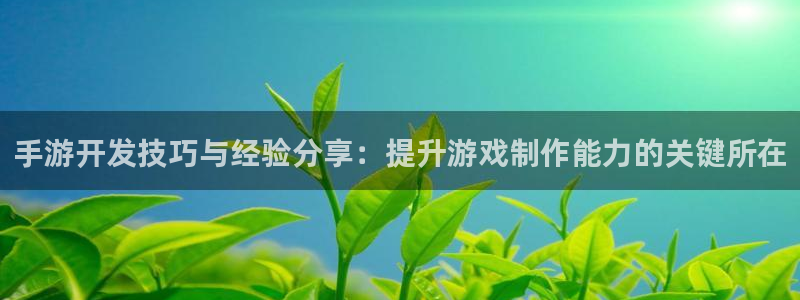 大神吧28论坛开奖：手游开发技巧与经验分享：提升游戏制作能力