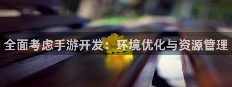 pc28大神软件客户端下载：全面考虑手游开发：环境优化与资源