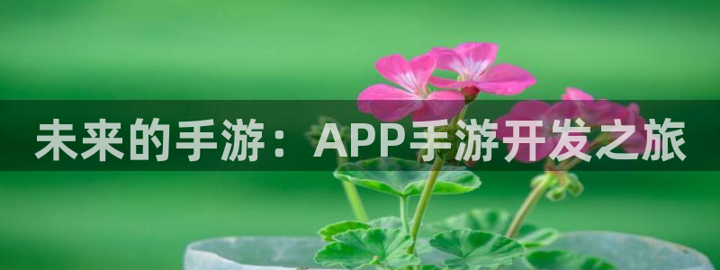pc28大神下载安卓：未来的手游：APP手游开发之旅