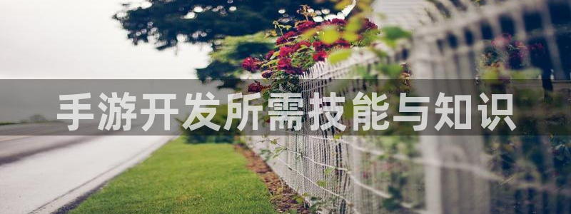 28大神预：手游开发所需技能与知识