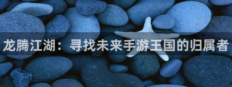 28大神开奖记录：龙腾江湖：寻找未来手游王国的归属者