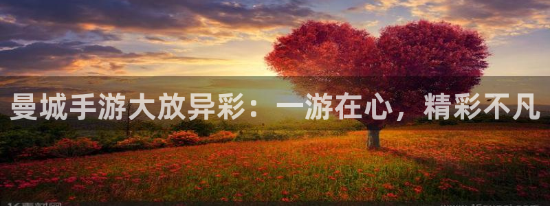 28大神官方开奖：曼城手游大放异彩：一游在心，精彩不凡