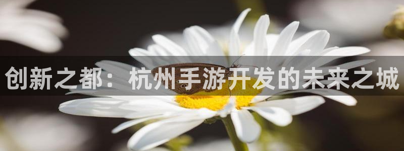 大神28官网下载