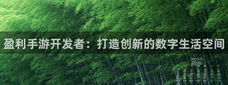 大神吧pc28在线预测网：盈利手游开发者：打造创新的数字生活