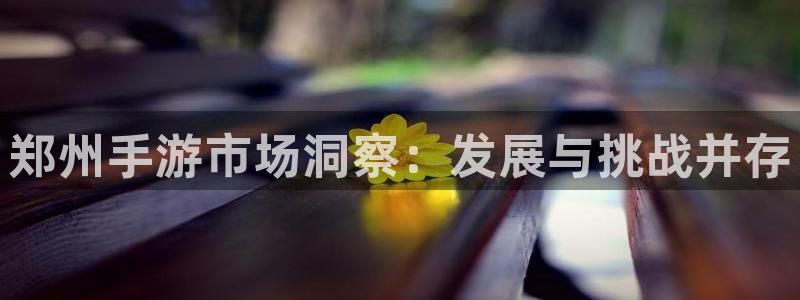 大神28杀：郑州手游市场洞察：发展与挑战并存
