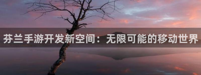 28大神专业版官网