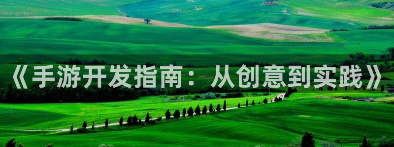 大神28加拿大开奖：《手游开发指南：从创意到实践》