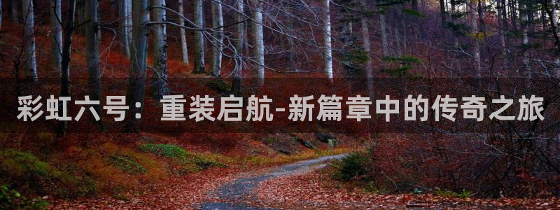 加拿大大神28历史开奖查询：彩虹六号：重装启航-新篇章中的传
