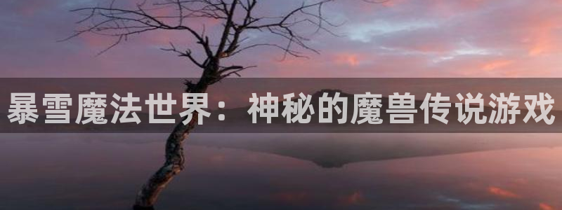 大神28在线对子预测：暴雪魔法世界：神秘的魔兽传说游戏