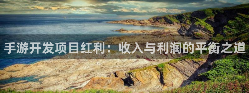 28大神怎么下载地址：手游开发项目红利：收入与利润的平衡之道