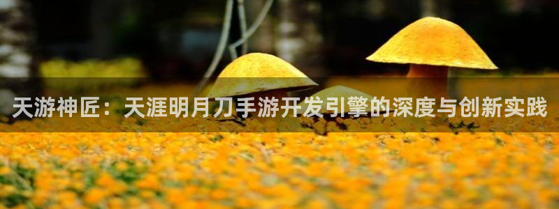 大神吧28官网预测：天游神匠：天涯明月刀手游开发引擎的深度与