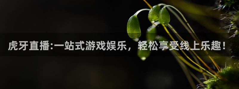 833直播足球：虎牙直播:一站式游戏娱乐，轻松享受线上乐趣！