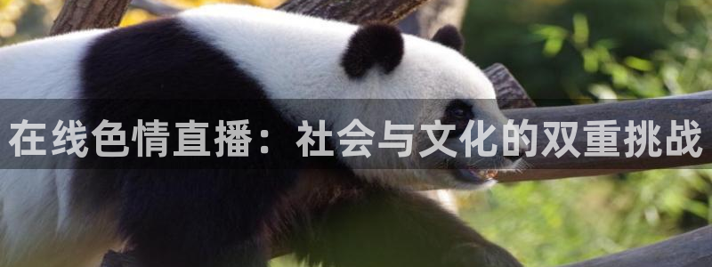 833直播足球比赛官网：在线色情直播：社会与文化的双重挑战