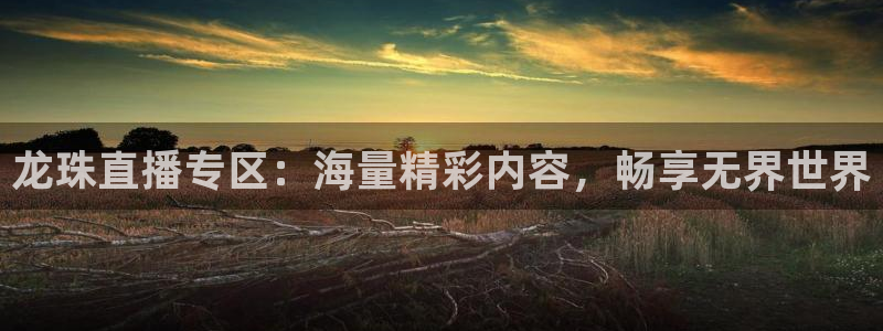 球帝833直播入口：龙珠直播专区：海量精彩内容，畅享无界世界
