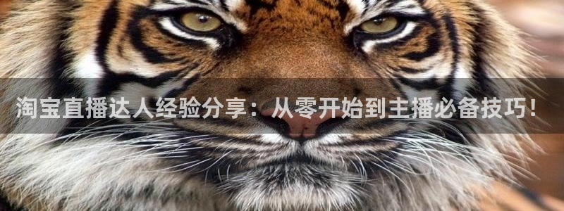 833足球赛事直播：淘宝直播达人经验分享：从零开始到主播必备技巧！
