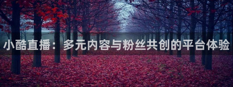 833足球比赛免费直播：小酷直播：多元内容与粉丝共创的平台体验