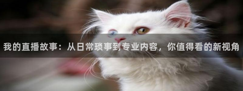 833足球直播网：我的直播故事：从日常琐事到专业内容，你值得看的新视角