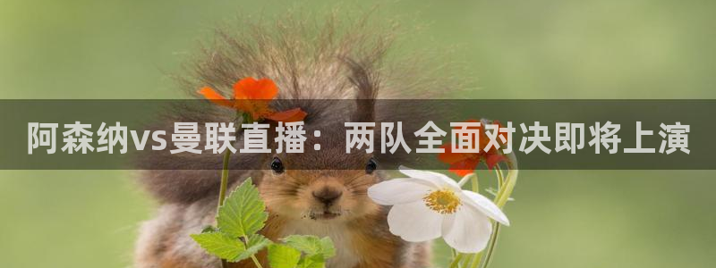 833体育直播免费观看：阿森纳vs曼联直播：两队全面对决即将上演